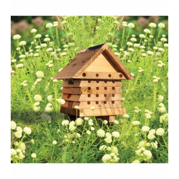 Wildlife World Solitary Bee Hive