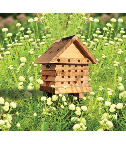 Wildlife World Solitary Bee Hive