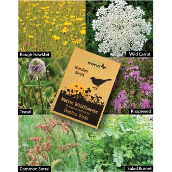 Wildlife World Native Wildflower Seeds for Garden Birds