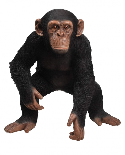 Vivid Arts Real Life Standing Chimpanzee - Size B