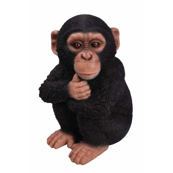 Vivid Arts Real Life Baby Chimpanzee - Size D