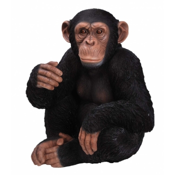 Vivid Arts Real Life Sitting Chimpanzee - Size B