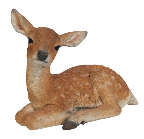 Vivid Arts Real Life Fallow Deer - Size D