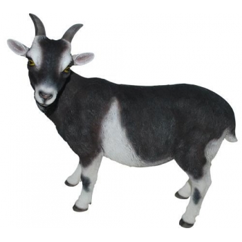 Vivid Arts Real Life Goat - Size D