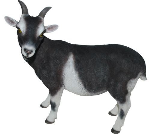 Vivid Arts Real Life Goat - Size D