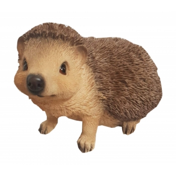 Vivid Arts Real Life Hedgehog - Size D