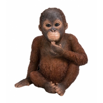 Vivid Arts Real Life Baby Orangutan - Size F