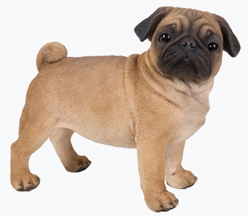 Vivid Arts Real Life Standing Pug - Size A