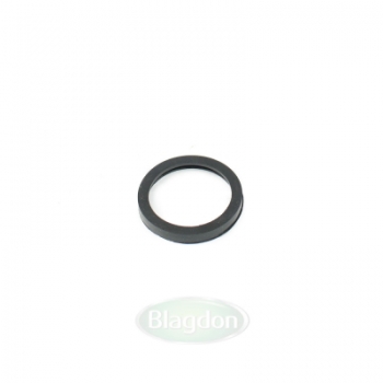 Blagdon MiniPond Filter UVC O-Ring Gasket (1041065)