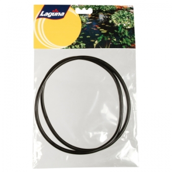 Laguna Pressure-Flo 3000/6000 Lid O-Ring