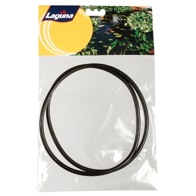 Laguna Pressure-Flo 3000/6000 Lid O-Ring