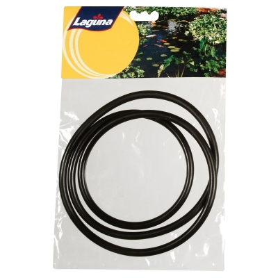 Laguna Pressure-Flo 10000/14000 Lid O-Ring