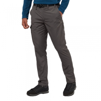 Craghoppers Mens Kiwi Slim NosiDefence Walking Trousers 32L - Waist 32' (81cm), Inside Leg 33'