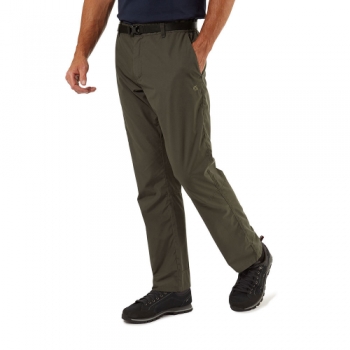 Craghoppers Mens Kiwi Boulder Nosi Defence Walking Trousers 36L - Waist 36' (91cm), Inside Leg 33'