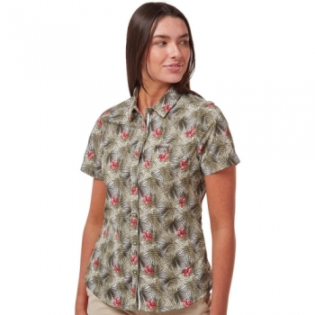 Craghoppers Womens NosiLife Vanna Short Sleeve Shirt 12 - Bust 36' (91cm)