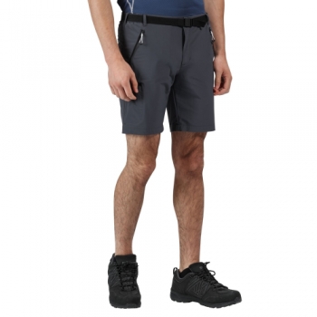 Regatta Mens Xert Stretch III Polyamide Walking Shorts 44 - Waist 44' (111.5cm)