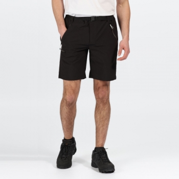 Regatta Mens Xert Stretch III Polyamide Walking Shorts 44 - Waist 44' (111.5cm), Inside Leg 32'