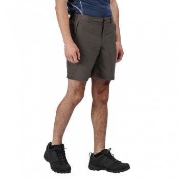 Regatta Mens Leesville II Polyamide Elasticared Shorts 44 - Waist 44' (111.5cm)