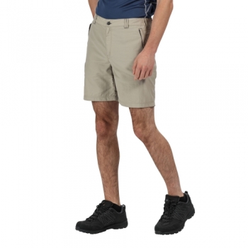 Regatta Mens Leesville II Polyamide Elasticared Shorts 42 - Waist 42' (106.5cm)