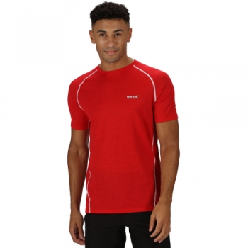 Regatta Mens Tornell II Polyester Wicking Running T Shirt L - Chest 41-42' (104-106.5cm)