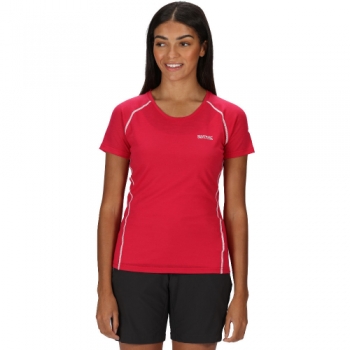 Regatta Womens Tornell II Moisture Control Active T Shirt 16 - Bust 40' (102cm)