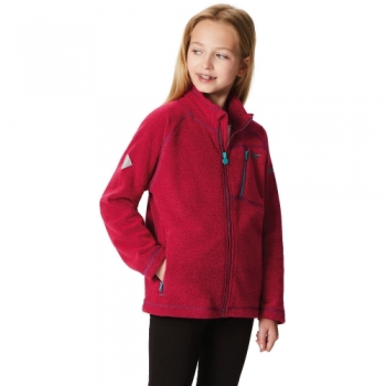 Regatta Boys & Girls Marlin VI Honeycomb Full Zip Hiking Fleece Jacket 5-6 Years - Chest 59-61cm (Height 110-116cm)