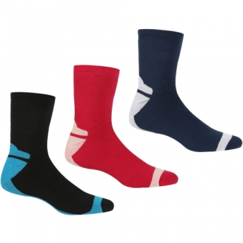 Regatta Womens 3pk Anti Bacterial Coolmax Wicking Socks UK Size 3-5