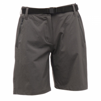 Regatta Womens X-ert Shorts Ebony