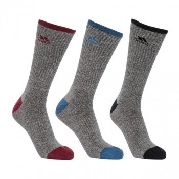 Trespass Mens Radulf Mid Length 3 Pack Technical Port Socks UK Size 4-7 (Eur 37-41)