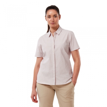 Craghoppers Womens Nasima Short Sleeve Walking Shirt 12 - Bust 36' (91cm)