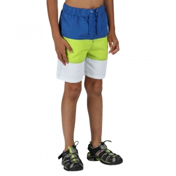 Regatta Boys Shaul III Polyester Board Swim Short 9-10 Years - Waist 61-64cm (Height 135-140cm)