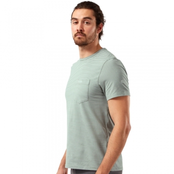 Craghoppers Mens NosiLife Ina Relaxed Fit Short Sleeve Top XL - Chest 44' (112cm)