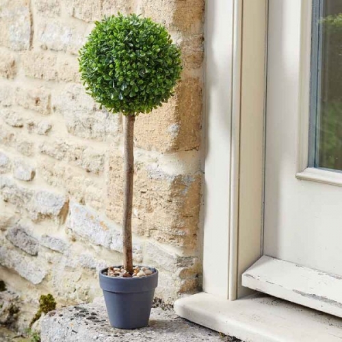 Smart Garden Uno Topiary Tree