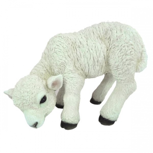 Vivid Arts Real Life Lamb - Size D