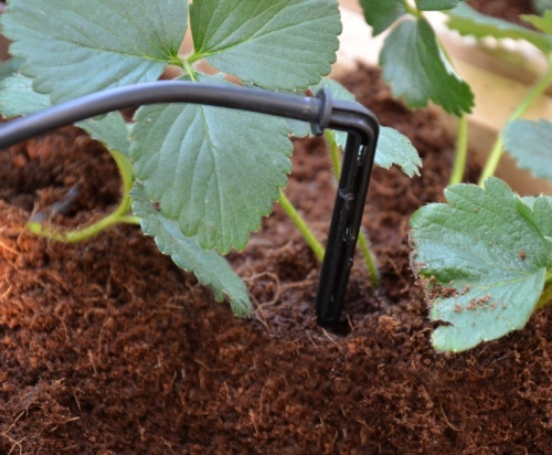 Palram-Canopia Drip Irrigation Kit