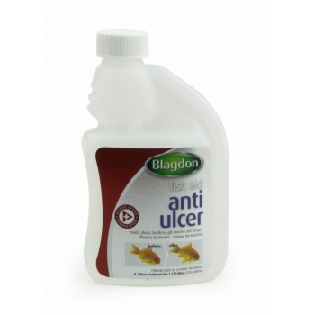 Interpet Anti Ulcer 500ml