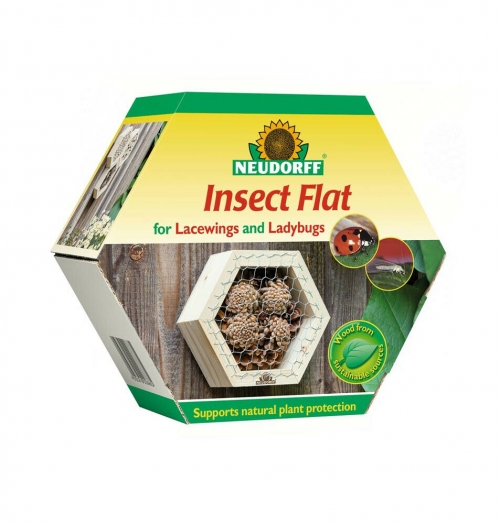 Neudorff Insect Flat Laced Wing and Lady Bugs