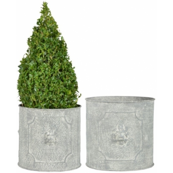 Fallen Fruits Round Lion Head Planters (Set of 2)