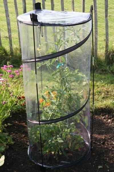 Haxnicks Pop-Up Growing Tower (Tomato Cloche)