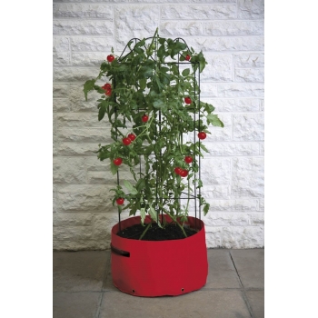 Haxnicks Tomato Climbing Patio Planter