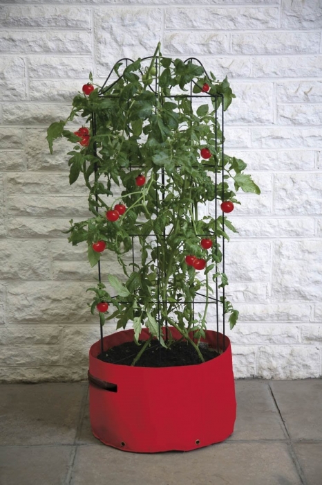 Haxnicks Tomato Climbing Patio Planter