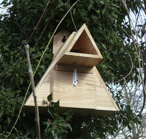 Little Owl Box