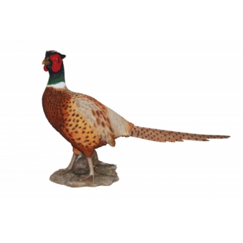 Vivid Arts Real Life Pheasant - Size A