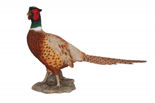 Vivid Arts Real Life Pheasant - Size A