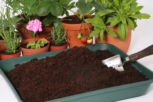 Haxnicks Coir Compost Block