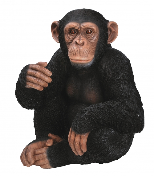 Vivid Arts Real Life Sitting Chimpanzee - Size D