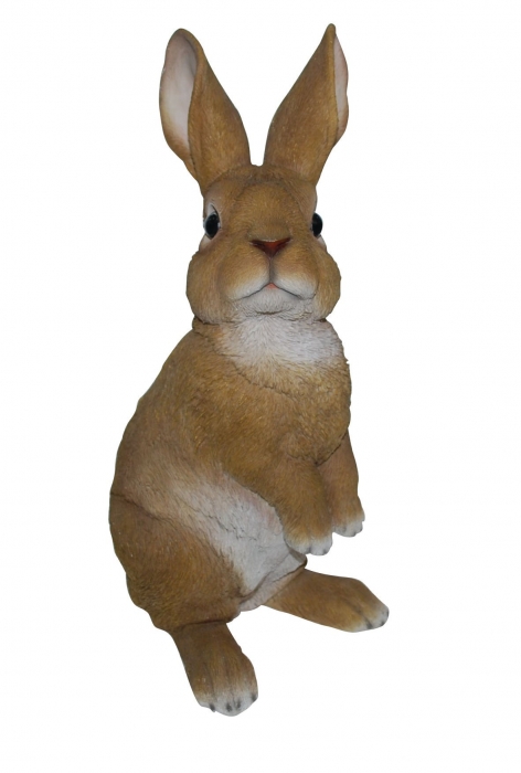 Vivid Arts Real Life Lookout Rabbit - Size C