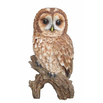 Vivid Arts Real Life Tawny Owl - Size B