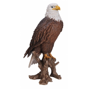 Vivid Arts Real Life American Bald Eagle - Size B