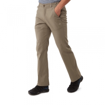 Craghoppers Mens Kiwi Pro Polyamide Walking Trousers 44L - Waist 44' (112cm), Inside Leg 33'